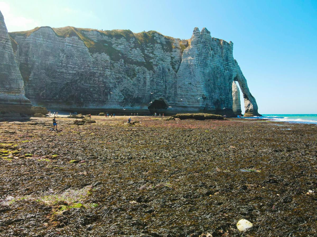 Die Steilküste von Étretat