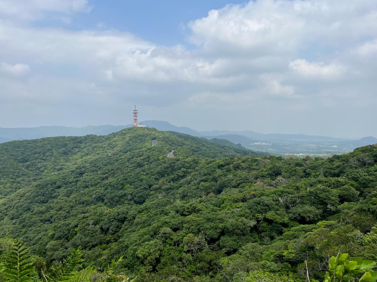 Die Berge von Ishigaki
