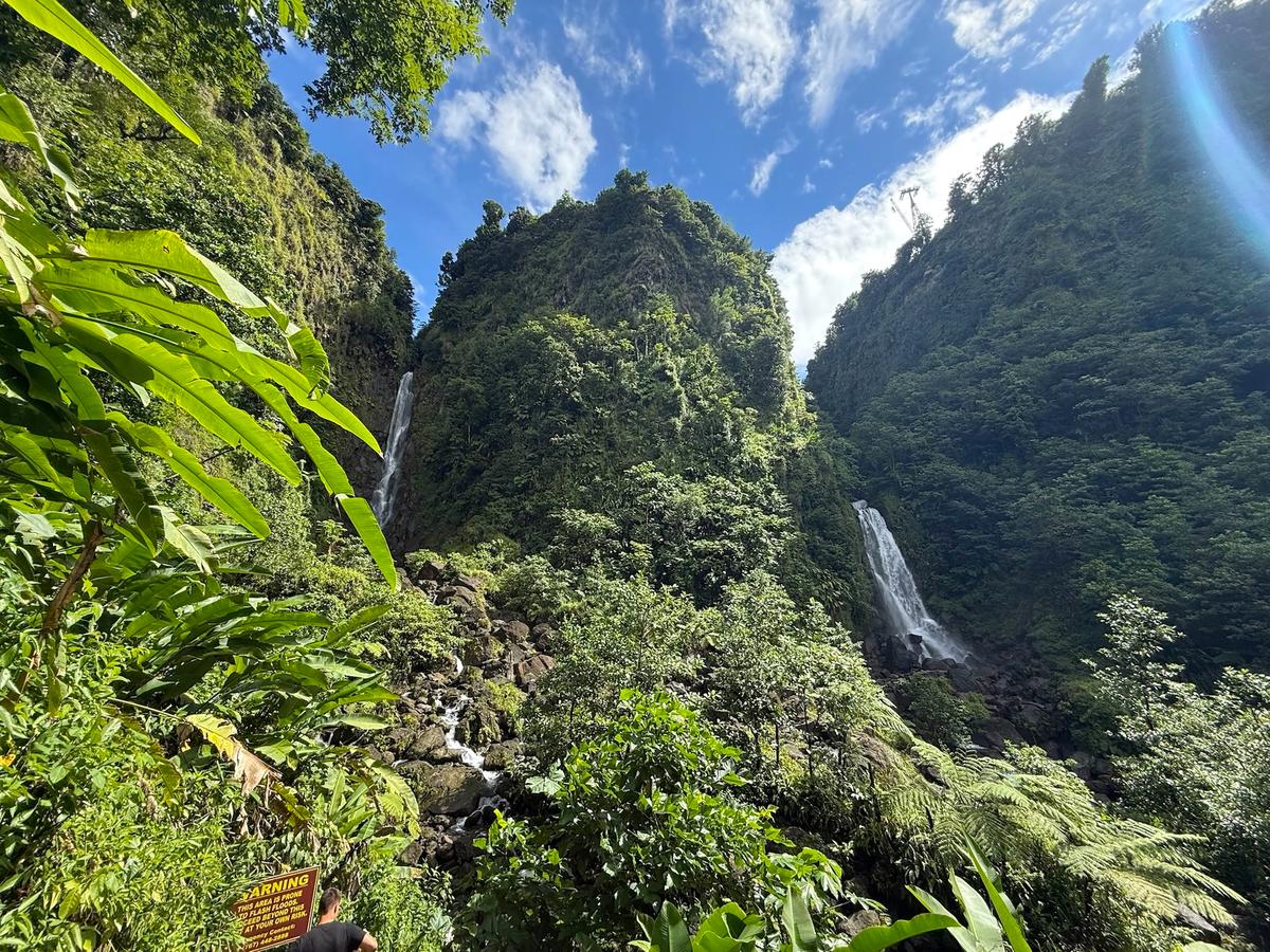 Die Trafalger Falls auf Dominica