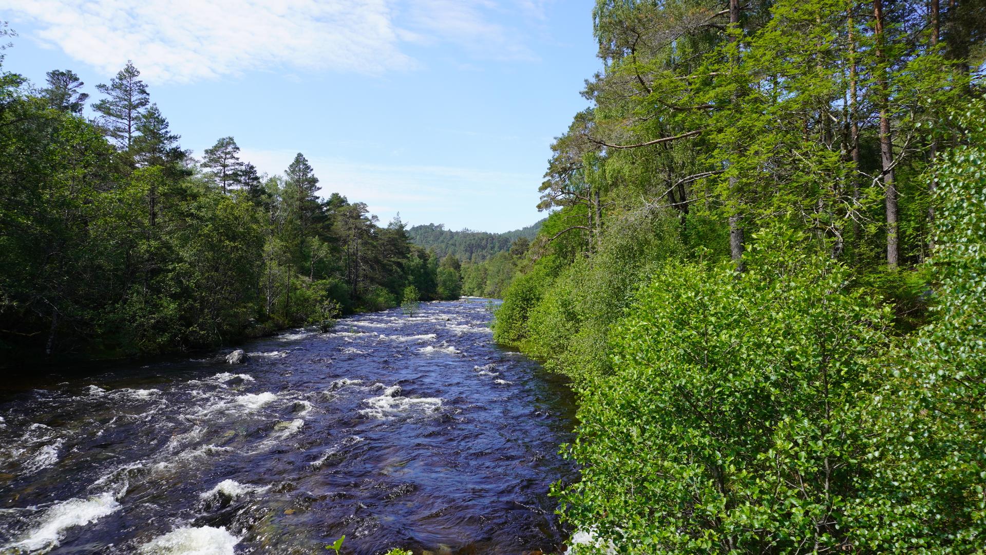Die Schottischen Highlands