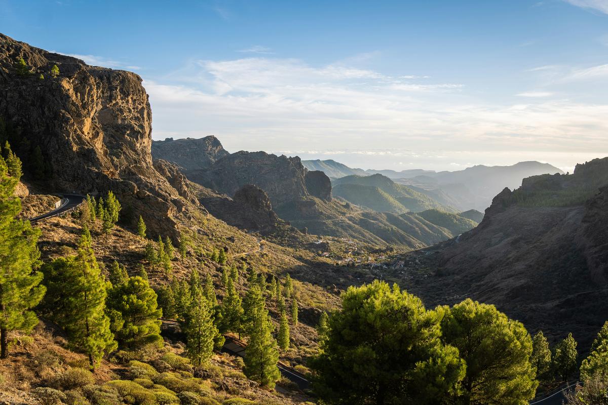 Die einzigartige Vegetation auf Gran Canaria