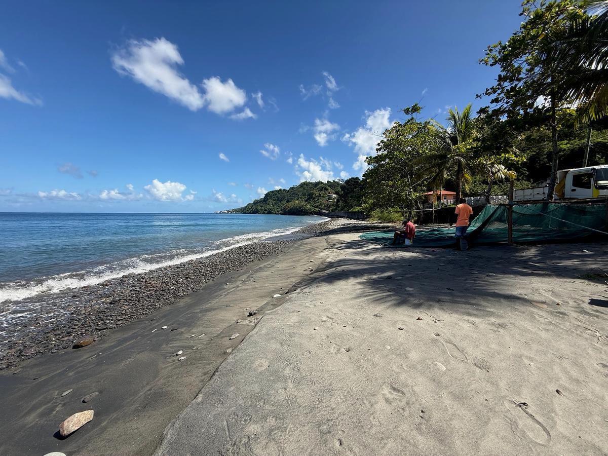 Ein typischer Karibik-Strand auf Grenada