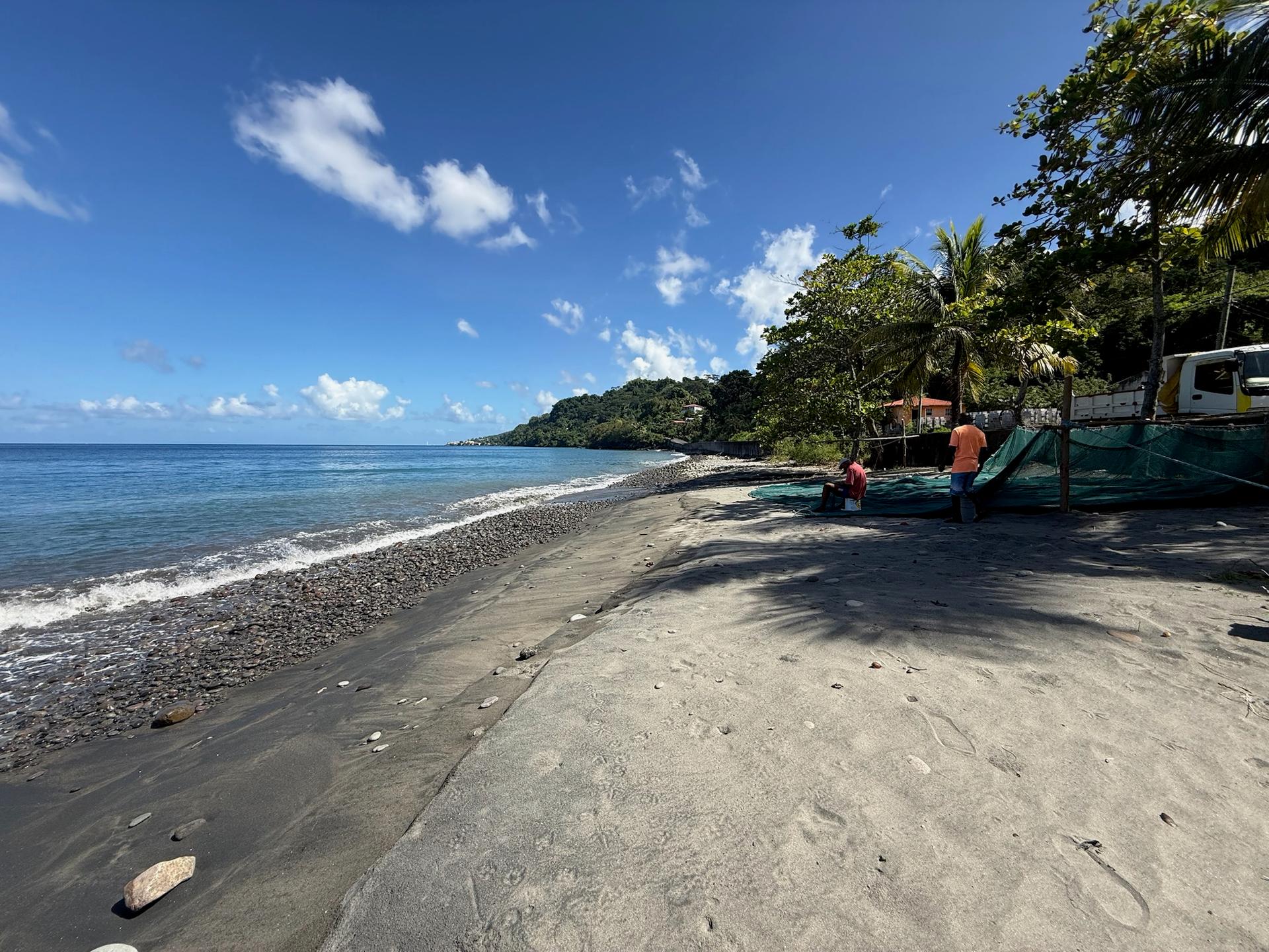 Ein typischer Karibik-Strand auf Grenada