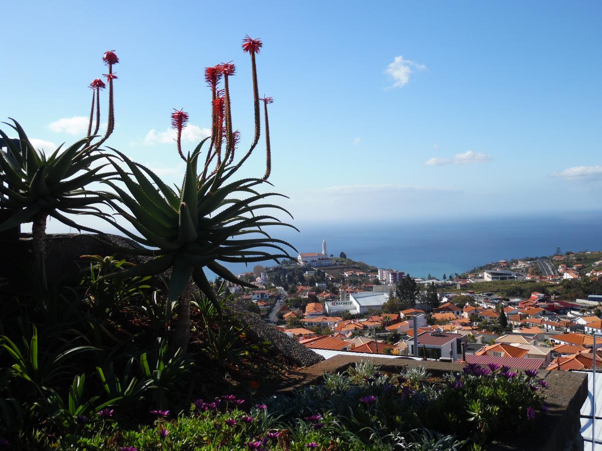 Der Hafen von Madeira gesehen vom Berg aus