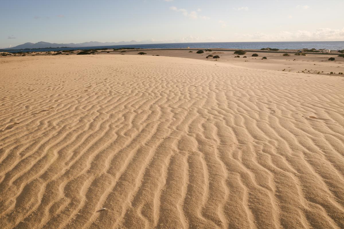 Die Sanddünen auf Fuerteventura