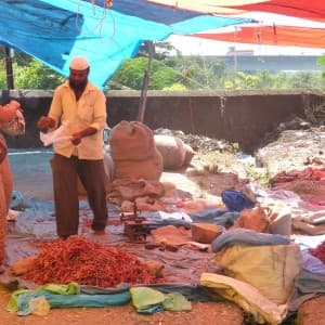 Landausflüge in New Mangalore