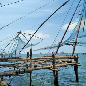 Landausflug in Cochin