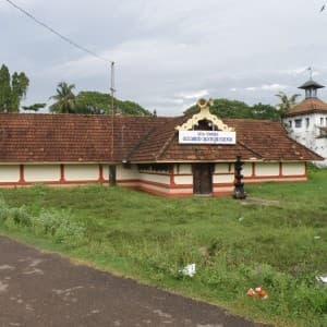 Landausflug in Cochin