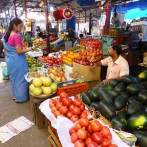Landausflüge in Mumbai