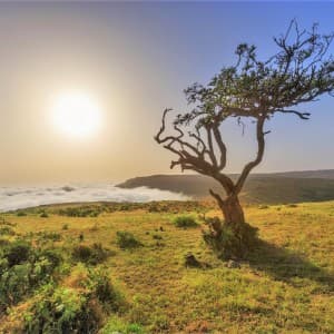Landausflüge in Salalah