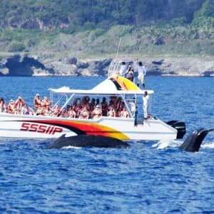 Landausflug in Samaná