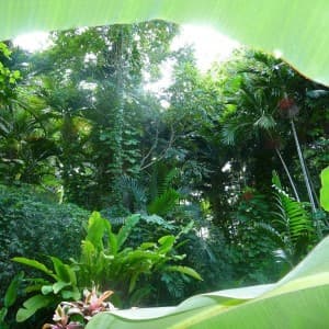 Landausflug in Montego Bay