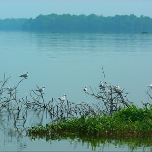 Landausflug in Colombo