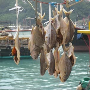 Landausflug in Hongkong