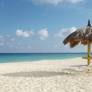 Liegestühle und Sonnenschutz am berühmten Eagle Beach auf Aruba