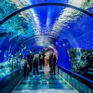 Landausflug in Nha Trang