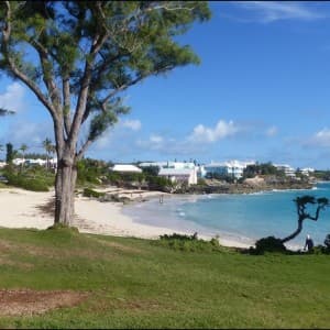 Grüne Landschaft mit Strand im Hintergrund