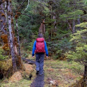 Landausflug in Ketchikan