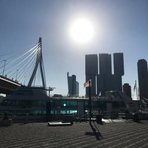 Landausflug in Rotterdam