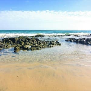 Landausflug auf Fuerteventura