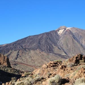 Landausflug auf Teneriffa