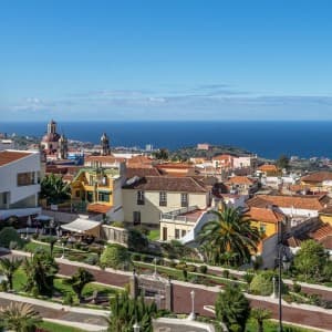 Landausflug auf Teneriffa