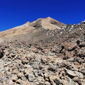 Landausflug auf Teneriffa