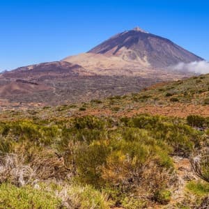 Landausflug auf Teneriffa