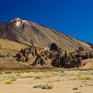 Landausflug auf Teneriffa