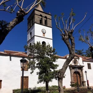 Landausflug auf Teneriffa