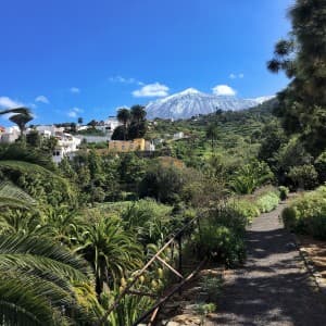 Landausflug auf Teneriffa
