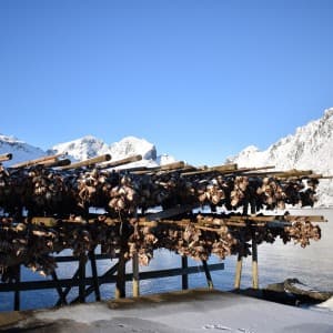Landausflug in Gravdal (Leknes)