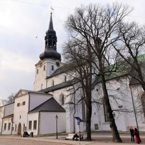 Landausflug in Tallinn