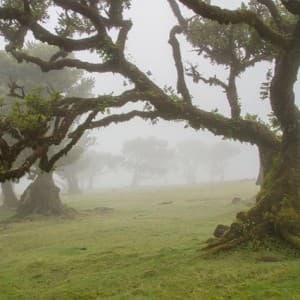 Landausflug auf Madeira