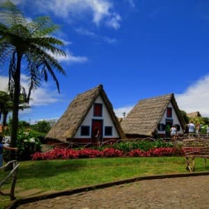Landausflug auf Madeira