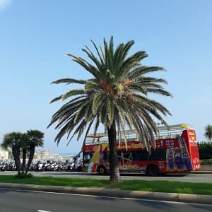 Landausflug in Genua
