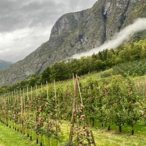 Landausflug in Flåm