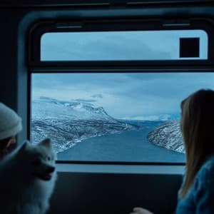 Landausflug in Narvik