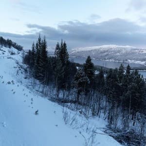 Landausflug in Narvik