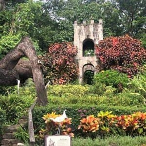 Landausflug in Basseterre (St. Kitts)
