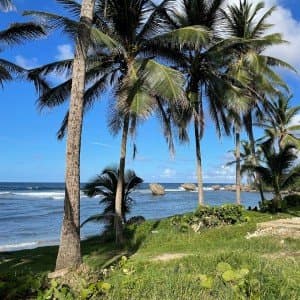 Landausflug in Bridgetown (Barbados)