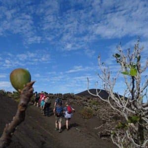 Landausflug auf Lanzarote