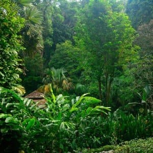 Landausflug auf Penang