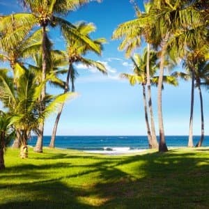 Landausflug in Le Port (La Réunion)