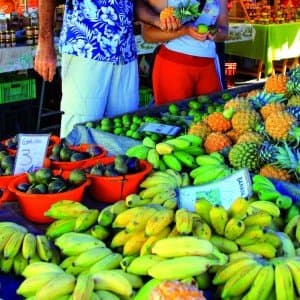 Landausflug in Le Port (La Réunion)
