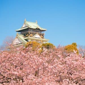 Landausflug in Osaka