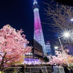 Landausflug in Yokohama