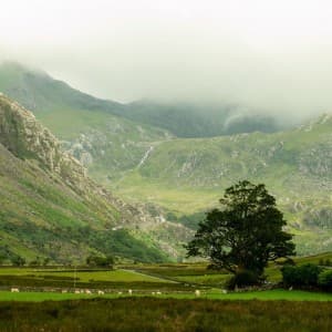 Grüne Berge im Nebel im Ogwen Valley in Wales
