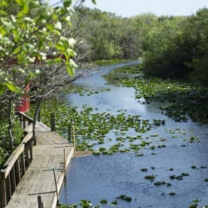 Aussicht übers Wasser im Everglades Nationalpark