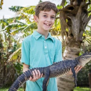 Ein Junge hält einen Baby-Alligator auf dem Arm